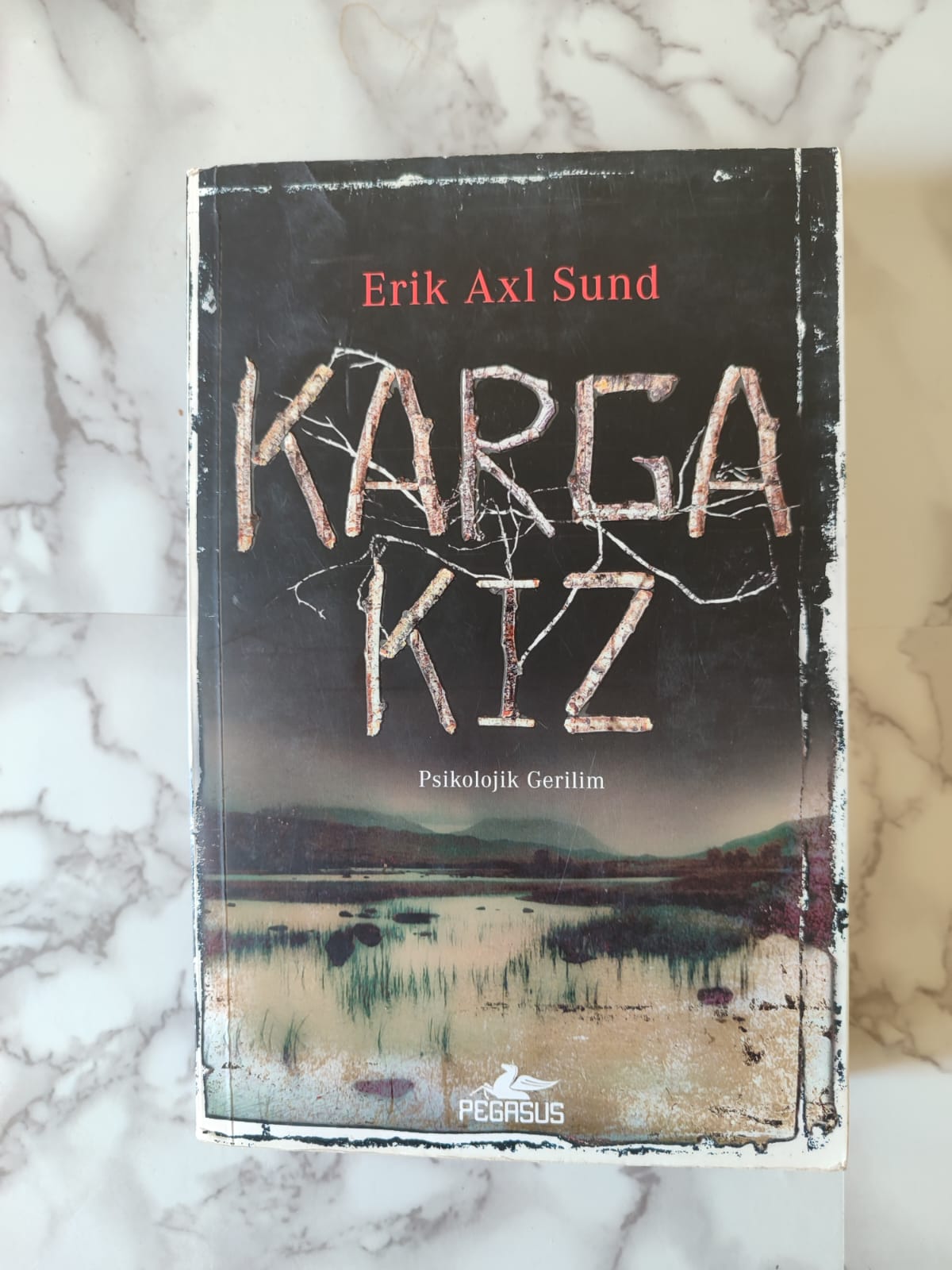 Karga Kız Erik Axl Sund