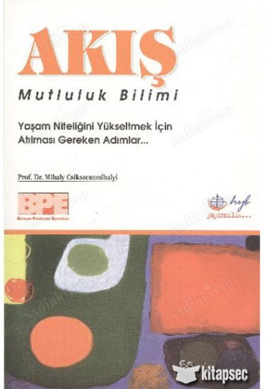 Akış Mutluluk Bilimi - 2005 basımı nadir kurgu dışı kitap kapağı