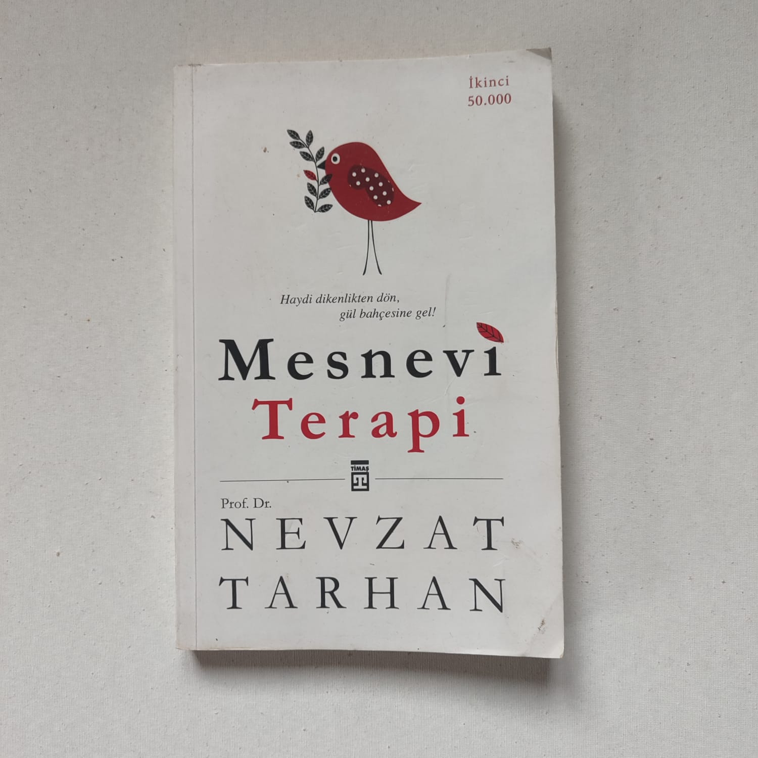 Mesnevi Terapi - Nevzat Tarhan kitap kapağı